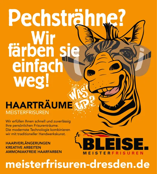 Werbung mit einem gezeichneten Zebra, das eine moderne Frisur trägt. Text wirbt für einen Friseursalon und bietet Haarfärbe-Dienstleistungen in Dresden an